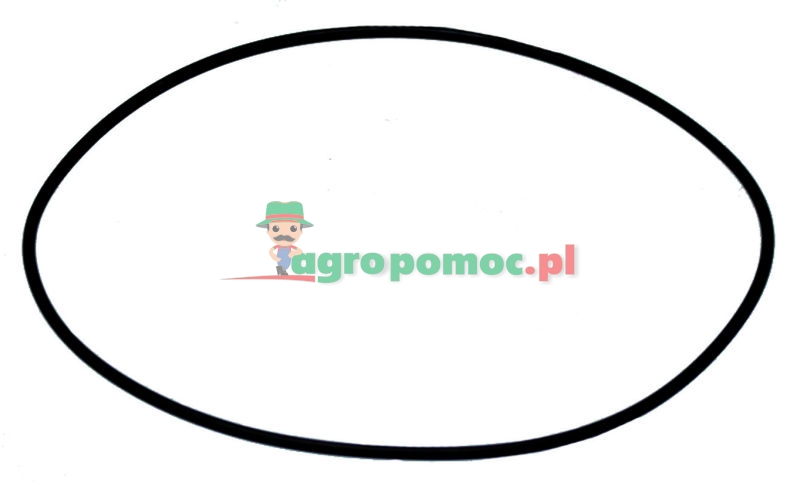 O-Ring | 00260202 | zdjęcie nr 1